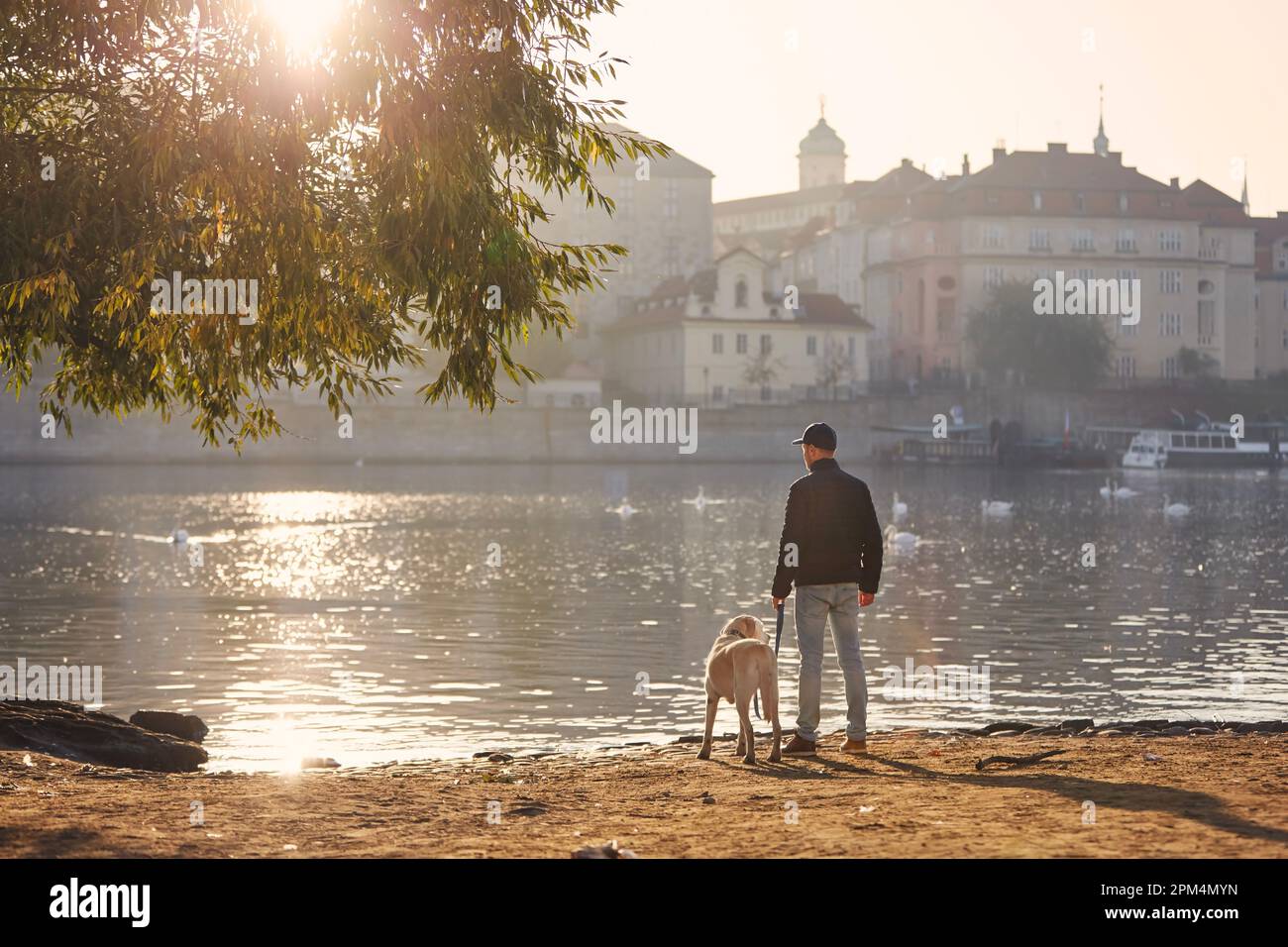 Rückansicht eines Mannes mit Hund an der Leine während eines Morgenspaziergangs in der Stadt. Tierbesitzer und sein labrador Retriever am Flussufer der Moldau in der Prager Innenstadt. Stockfoto