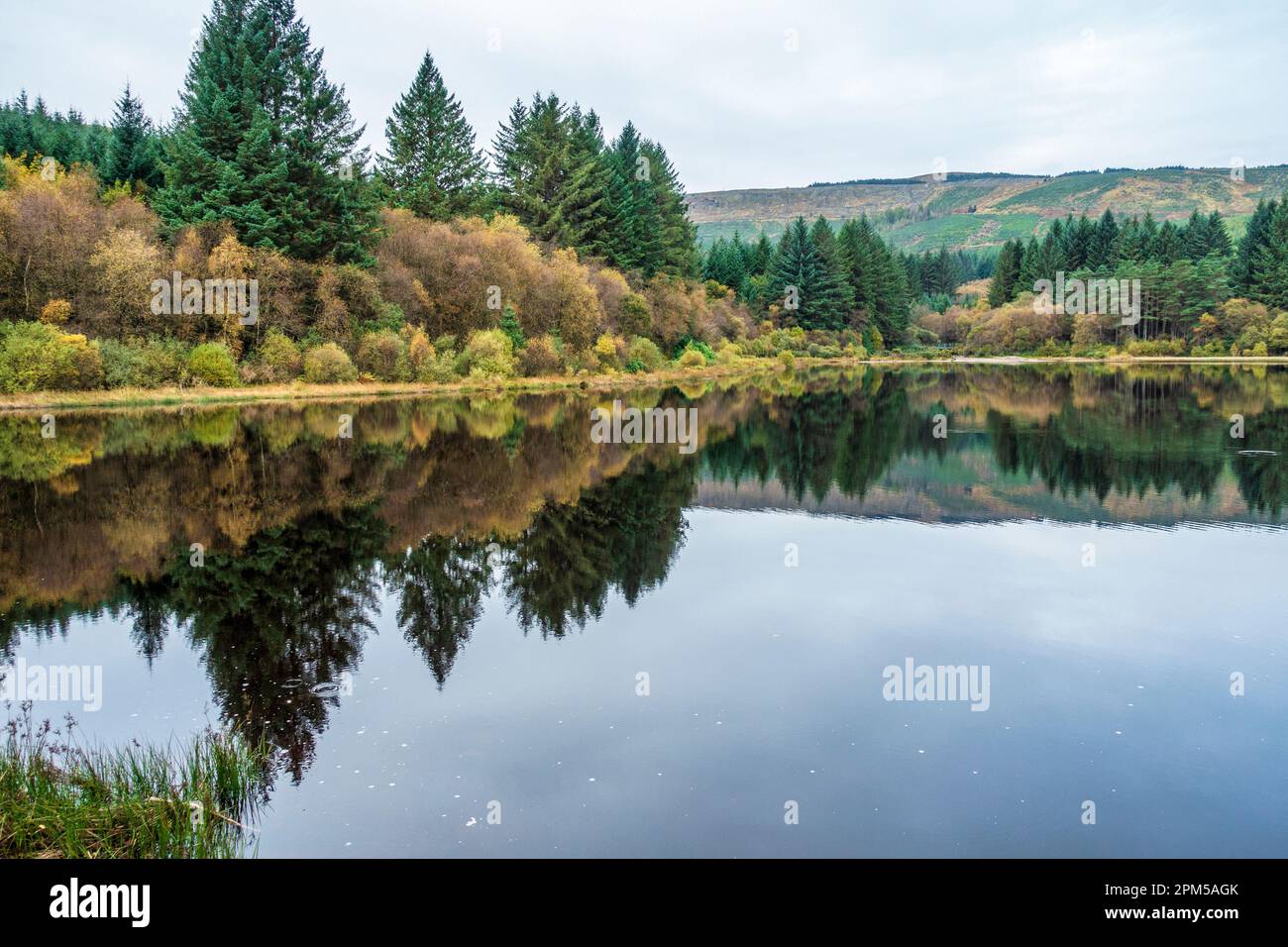 Bunte Reflexionen am Bishop's Glen Reservoir in der Nähe von Dunoon auf der Firth of Clyde, Halbinsel Cowal, Argyle und Bute, Schottland, Vereinigtes Königreich Stockfoto