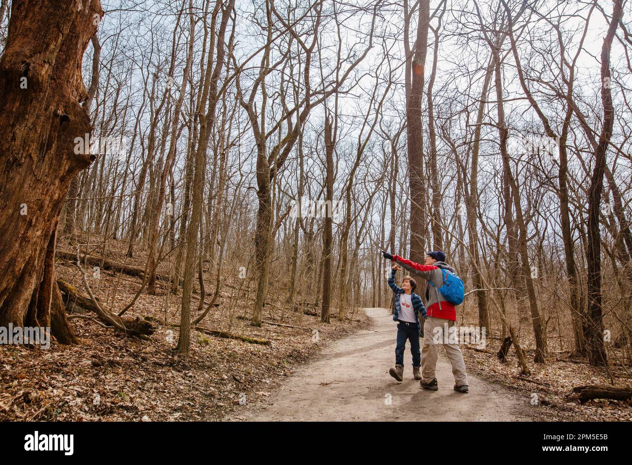 Ein Vater zeigt dem Sohn einen Vogel im Wald, während er wandert Stockfoto