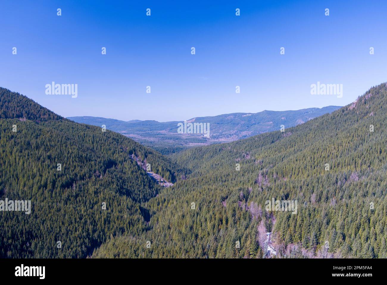 Frühling in den Cascade Mountains im Bundesstaat Washington Stockfoto