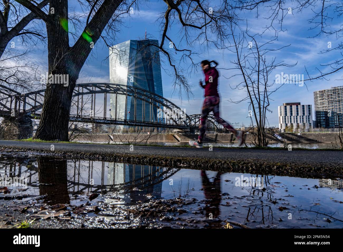 Gebäude der Europäischen Zentralbank, EZB, Uferweg am Main in Frankfurt, Hessen, Deutschland, Stockfoto
