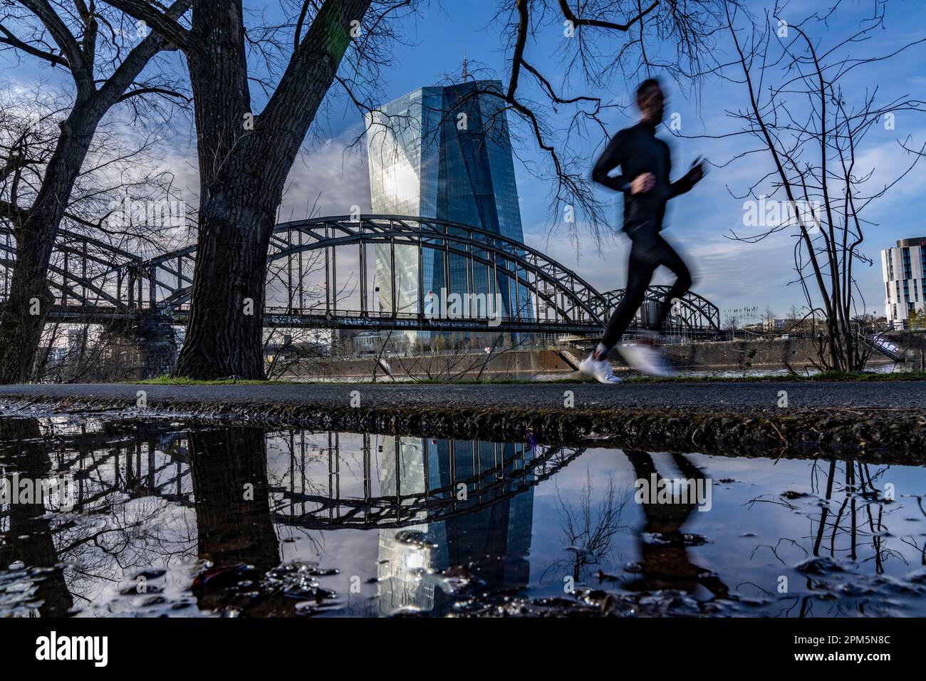 Gebäude der Europäischen Zentralbank, EZB, Uferweg am Main in Frankfurt, Hessen, Deutschland, Stockfoto