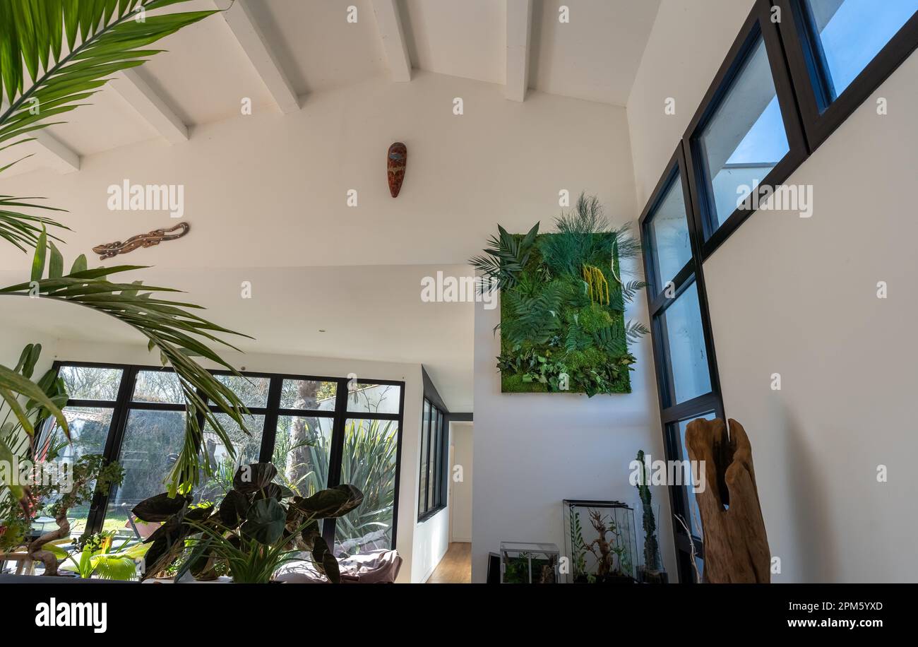 Umweltfreundliche Wanddekorationen auf Pflanzenbasis. Bausatz stabilisierte Pflanzenwand Dschungel mit flachem Moos und Laub. Pflanzen und Innenwände. Stockfoto