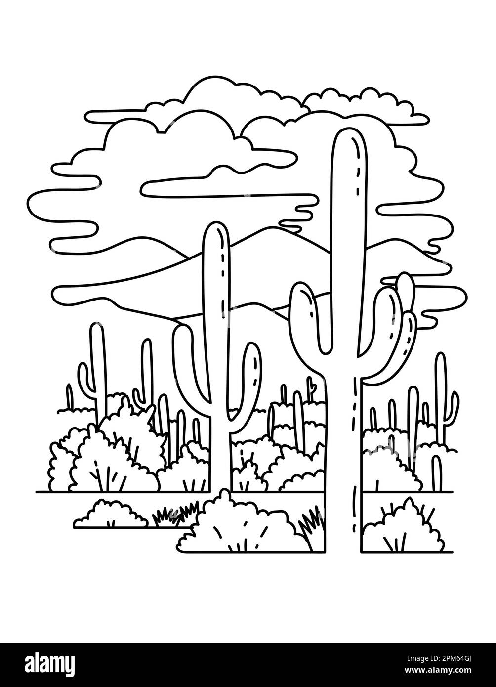 Mono-Linien-Darstellung des Saguaro-Nationalparks im Süden Arizonas, Vereinigte Staaten von Amerika, in schwarz-weißen Monolinlinien im Kunststil. Stockfoto