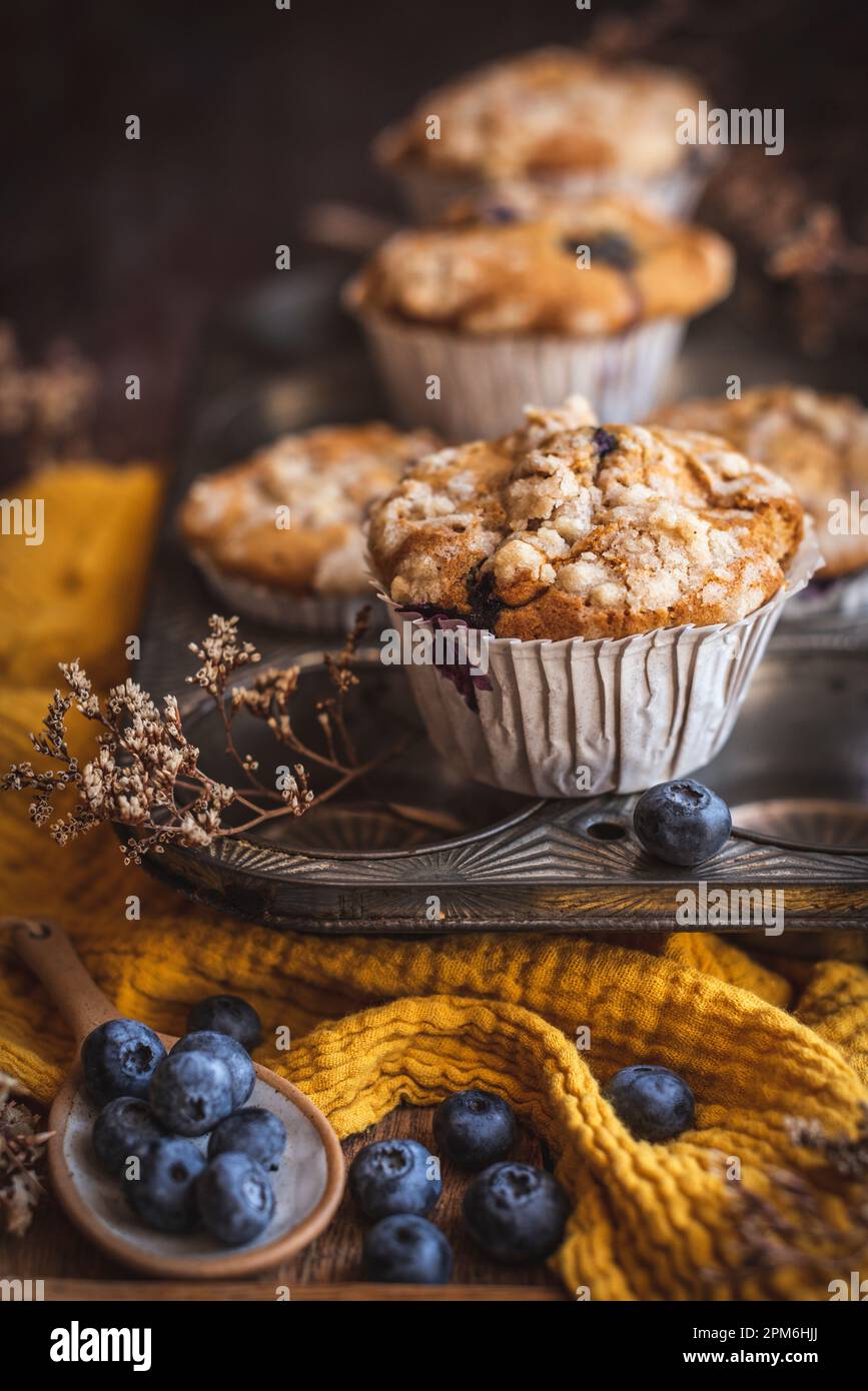 Kürbis- und Blaubeeren-Muffins in einem Backblech Stockfoto