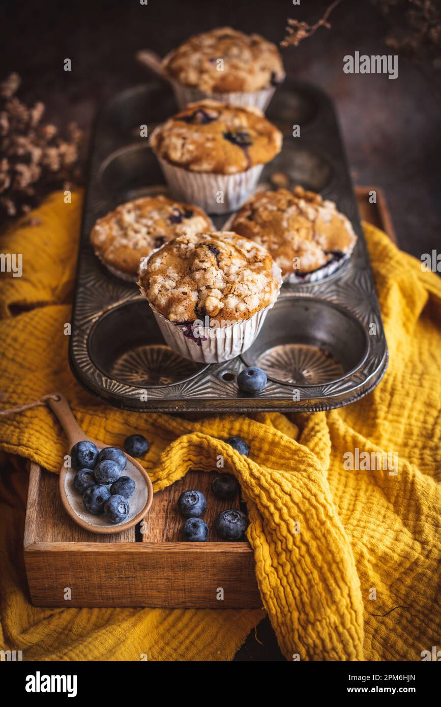 Kürbis- und Blaubeeren-Muffins in einem Backblech Stockfoto