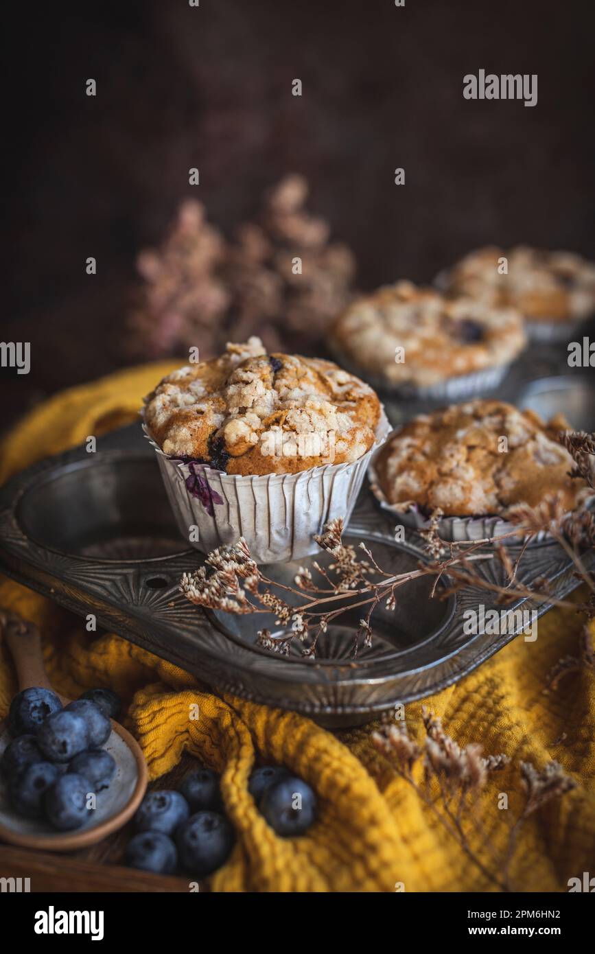 Kürbis- und Blaubeeren-Muffins in einem Backblech Stockfoto