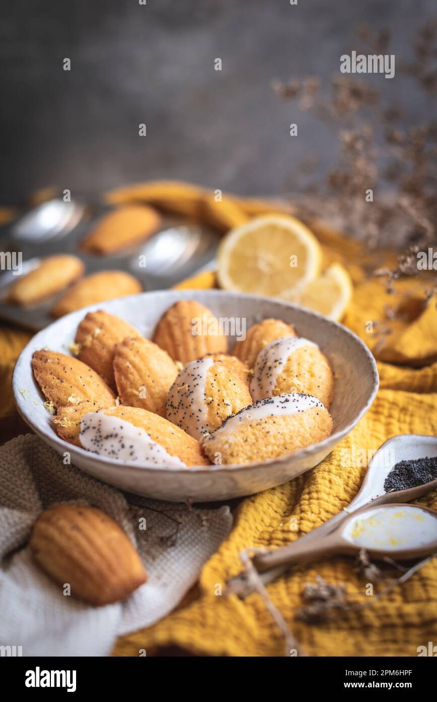 Zitrone Madeleines mit Mohnsamen auf gelbem Hintergrund Stockfoto