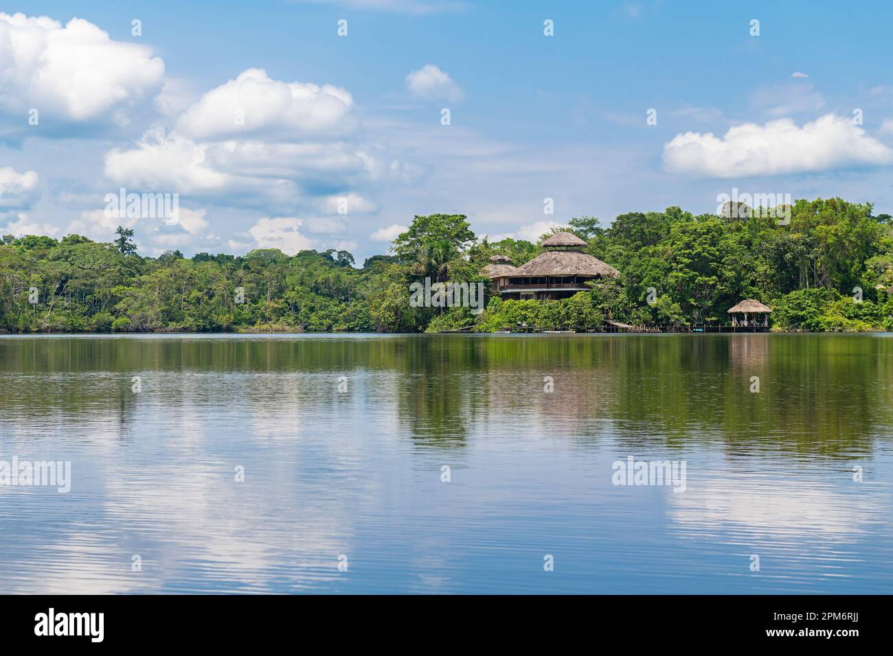 Amazonas Regenwald Lodge, Yasuni Nationalpark, Ecuador. Stockfoto