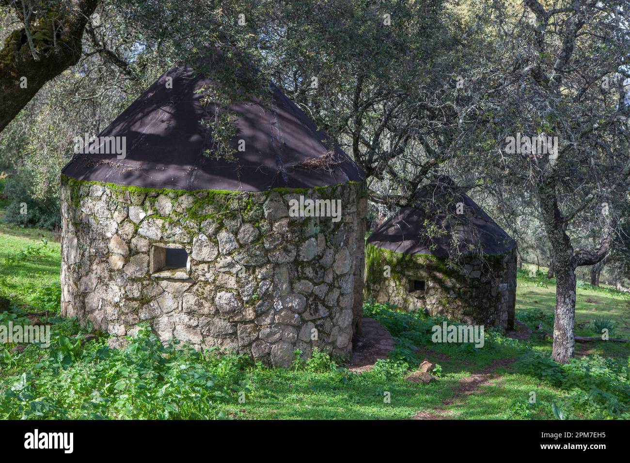 Chozos, traditionelle Hirten. Alor Gebirgslandschaft, Olivenza, Badajoz, Extremadura, Spanien. Stockfoto