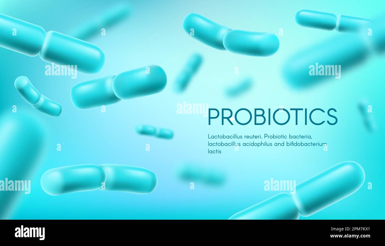 Probiotische Bakterien, Lactobacillus acidophilus und bifidobacterium, Vektorhintergrund. Probiotische Bakterien Präbiotika, gesundes Mikroorganismus Bakterium f Stock Vektor