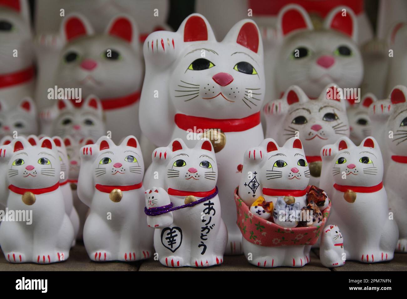 Lucky Cats in Gotokuji, Tokio, Japan Stockfoto