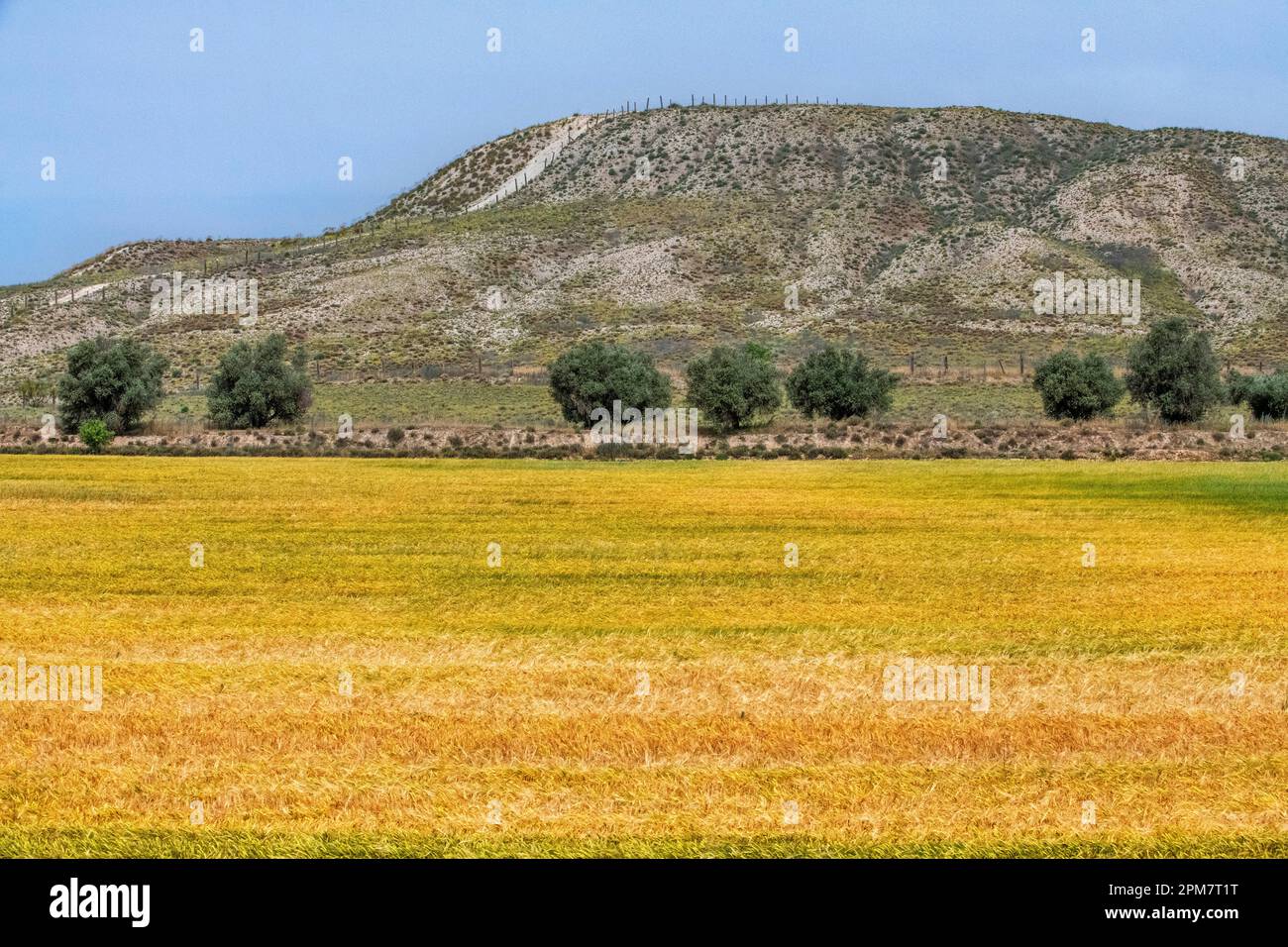 Landschaft aus dem Fenster im Inneren des Strawberry-Zuges, der vom Madrid Delicias Bahnhof nach Aranjuez Stadt Madrid, Spanien fährt. Die Erdbeertrae Stockfoto