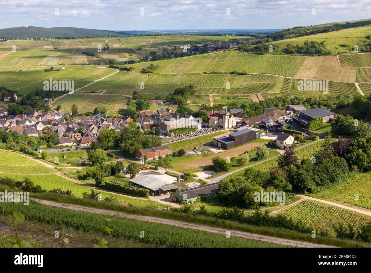 Frankreich, Indre et Loire, Cher, Chavignol, Sancerre AOC in Chavignol Stockfoto