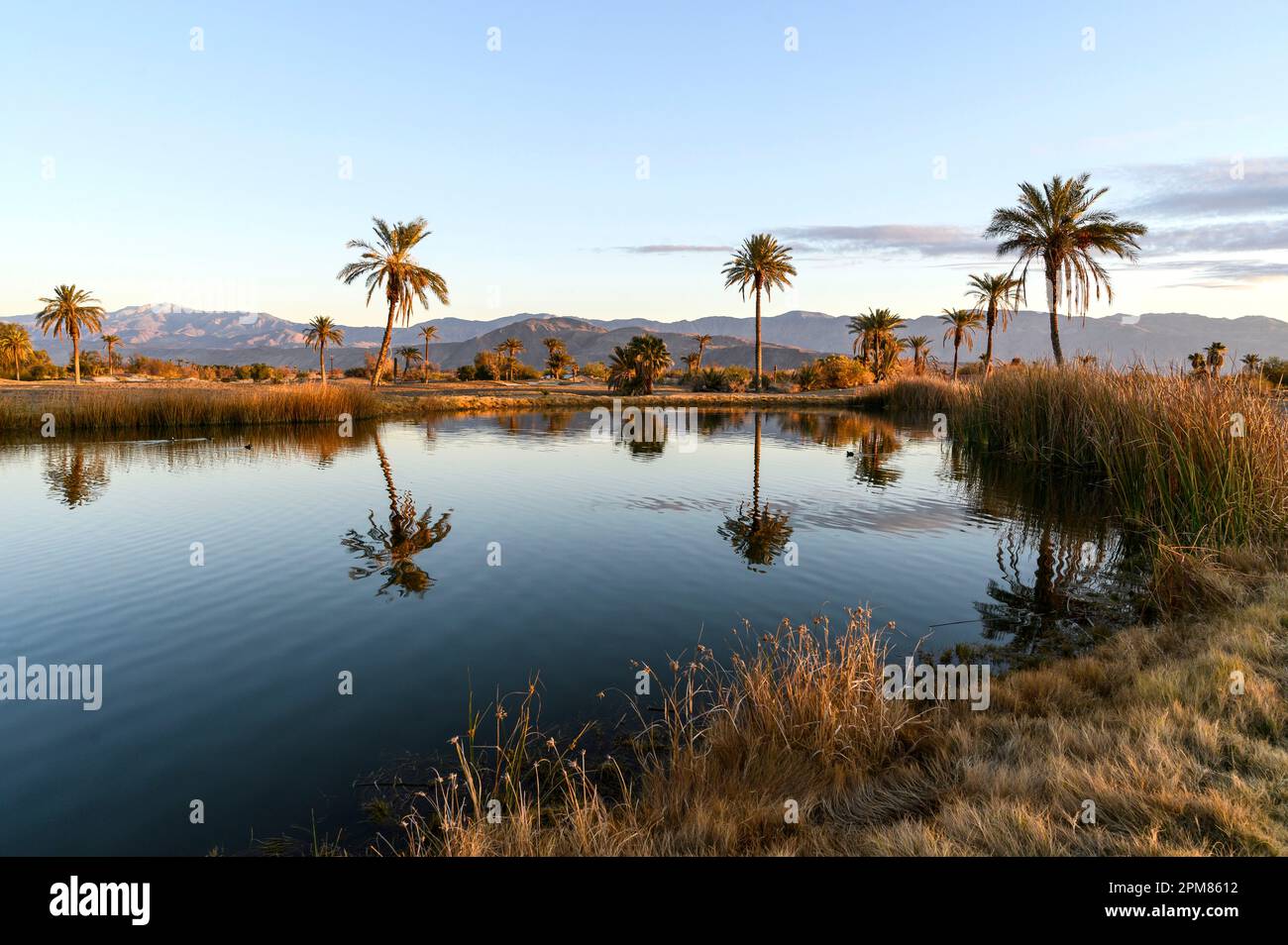 Vereinigte Staaten, Kalifornien, Region Greater Palm Springs, Bereich des Hofgolfes zum Borrego Springs Resort & Spa Stockfoto