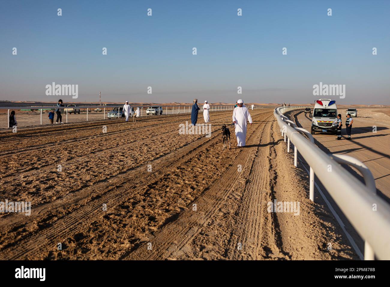 Saluki-Rennen in der Al-Dhafra-Region des Emirats Abu Dhabi Stockfoto