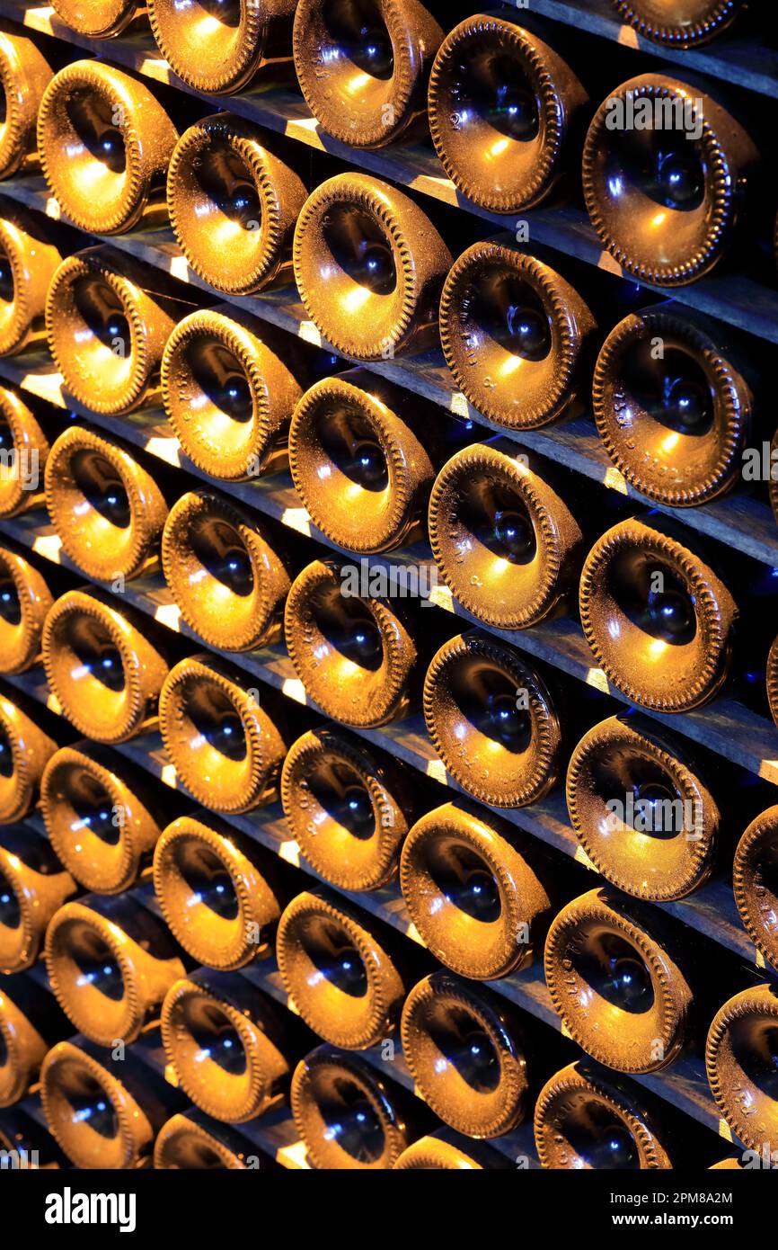 Frankreich, Marne, Chalons en Champagne (ehemals Chalons sur Marne), Joseph Perrier Champagne House gegründet 1825, Flaschen Champagner in den Kellern gelagert (ausgegraben in ehemaligen Gallo-römischen Kreidegruben) Stockfoto