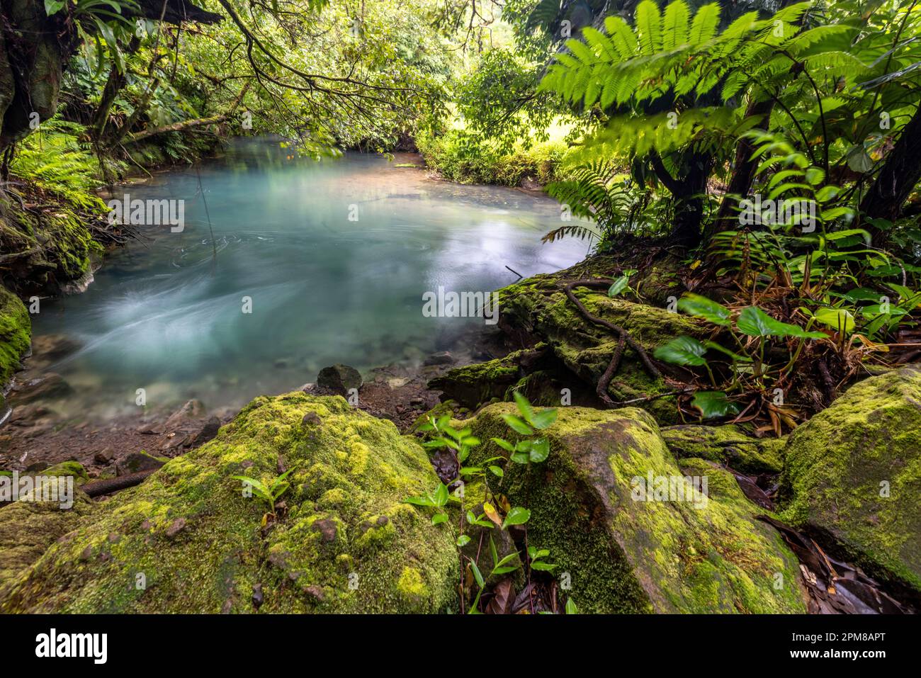 Costa Rica, Alajuela Provinz, Tenorio Vulkan Nationalpark, Rio Celeste Stockfoto