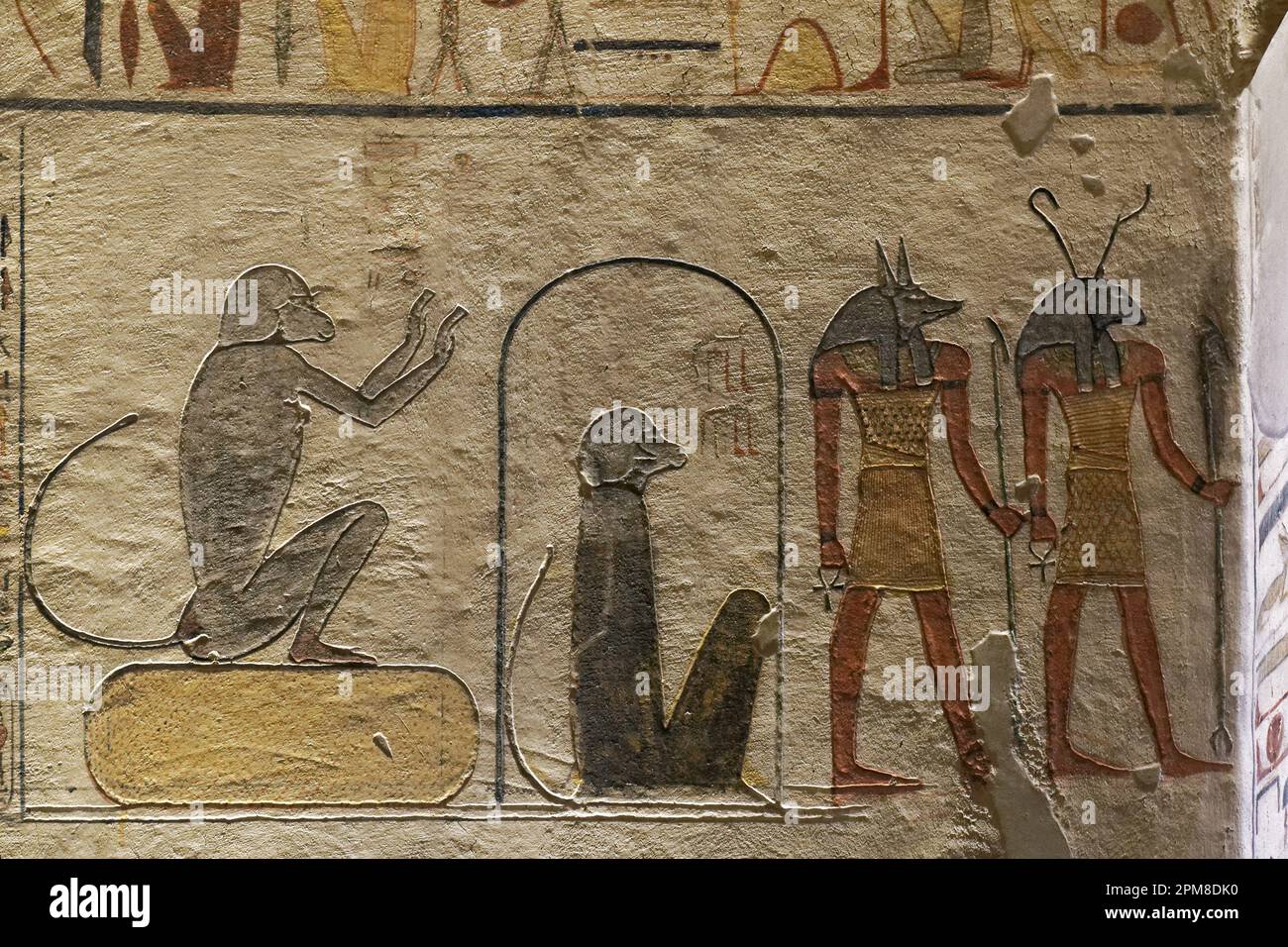 Ägypten, Oberägypten, Niltal, Umgebung von Luxor, Westtheben, Theben Nekropole, die zum UNESCO-Weltkulturerbe gehört, westliche Gegend, Tal der Könige, im Grab von König Ramses IX, KV6 Stockfoto