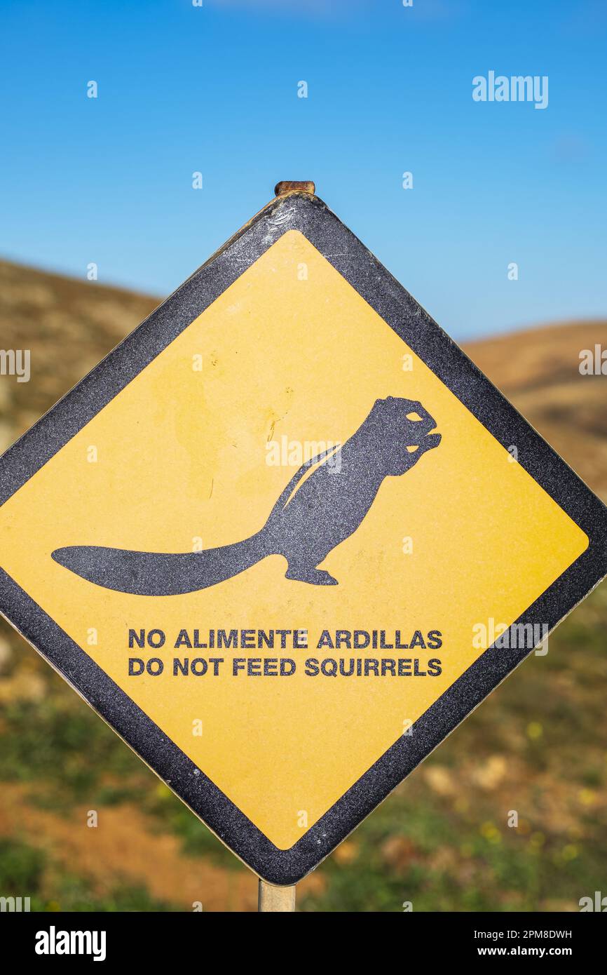 Spanien, Kanarische Inseln, Fuerteventura, Betancuria Rural Park, Corrales de Guize Belvedere (Mirador de Ayose y Guise), Warnschild Eichhörnchen nicht füttern Stockfoto
