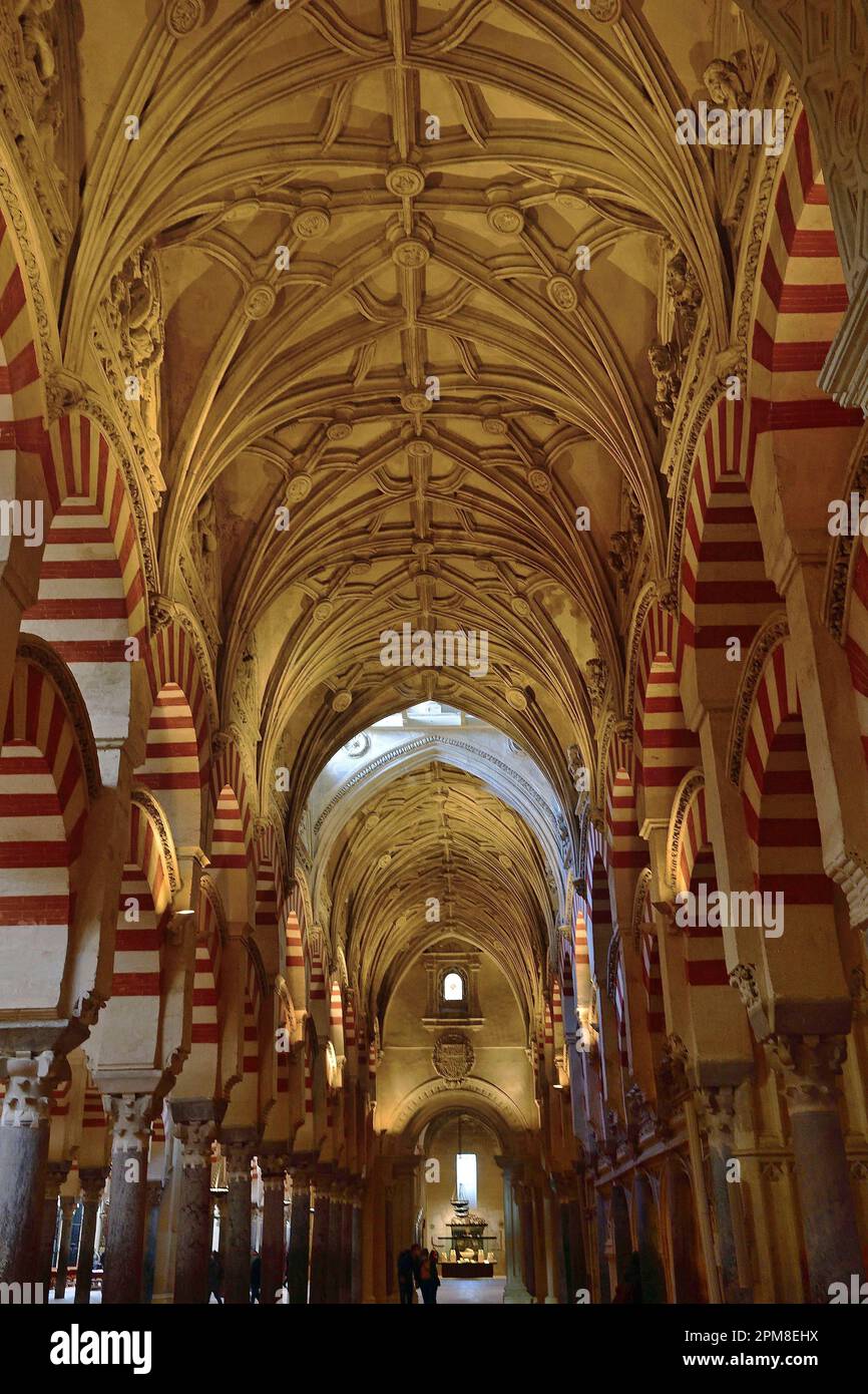 Spanien, Andalusien, Cordova (historisches Zentrum, das von der UNESCO zum Weltkulturerbe erklärt wurde), die Mezquita Stockfoto