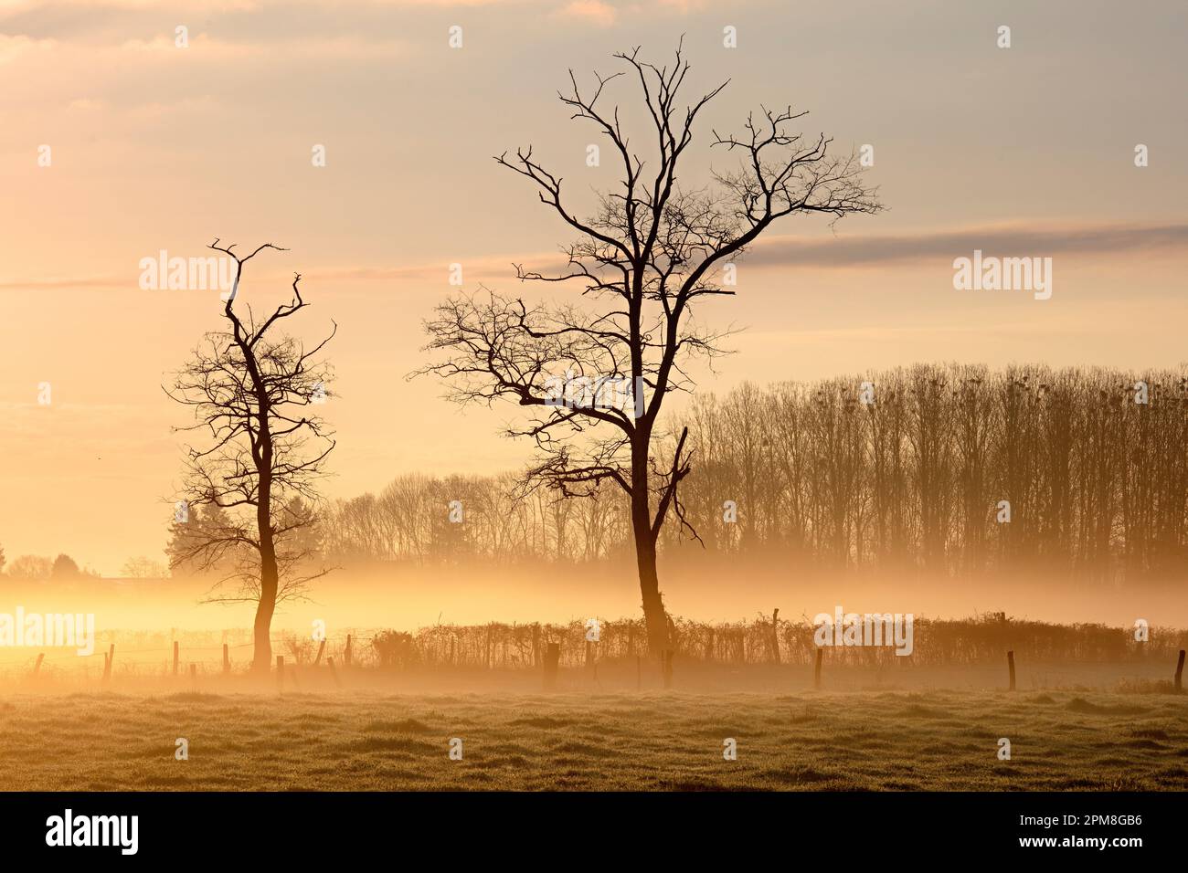 Landschaft im Morgenlicht in Molinet, Auvergne, Frankreich Stockfoto