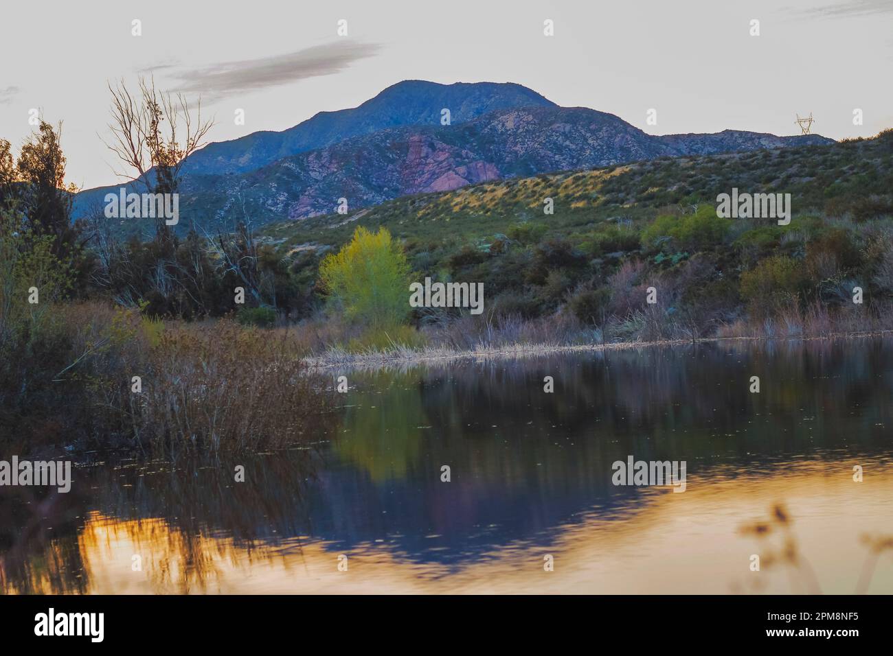 Entdecken Sie die raue Schönheit des Lone Pine Canyon mit diesem atemberaubenden Bild eines Hügels vom Lost Lake aus, einem Teich, der durch die San-Andreas-Verwerfung entstanden ist. Stockfoto