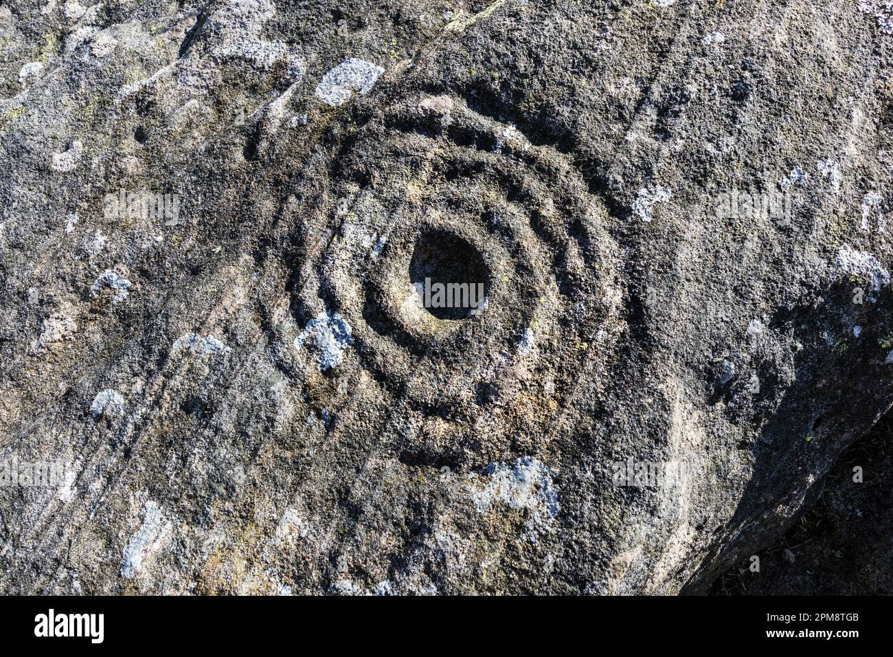 Cup and Ring Carved Stone, Osmaril Gill, How Tallon, Barningham, Teesdale County Durham, UK Stockfoto