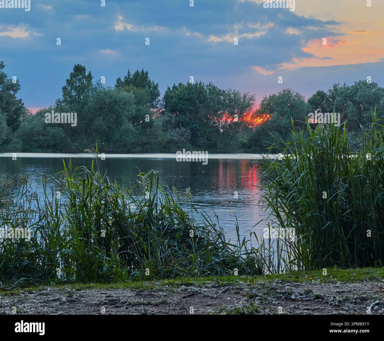 Landschaftsbild eines großen Sees mit großen Bäumen und Skyline im Hintergrund mit Sonnenuntergang. Stockfoto