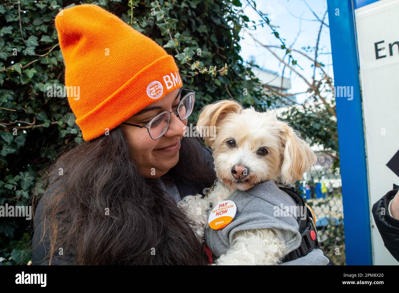 Hillingdon, Großbritannien. 12. April 2023. Hund Cookie tritt am zweiten Tag des Streiks vor dem Hillingdon Hospital in West London zu Junior Doctors. Junior Doctors in der British Medical Association in England begannen gestern einen viertägigen Streik in einem andauernden Streit um die Bezahlung. Die Streiks sind die längste Periode von Arbeitskampf, die jemals im NHS stattgefunden hat, seit sie begonnen haben und es wird erwartet, dass eine „katastrophale Auswirkung“ auf NHS Wartelisten aufgrund der Stornierung von Krankenhausterminen. In den vier aufeinanderfolgenden Tagen könnten etwa 350.000 Einsätze annulliert werden. Kredit Stockfoto