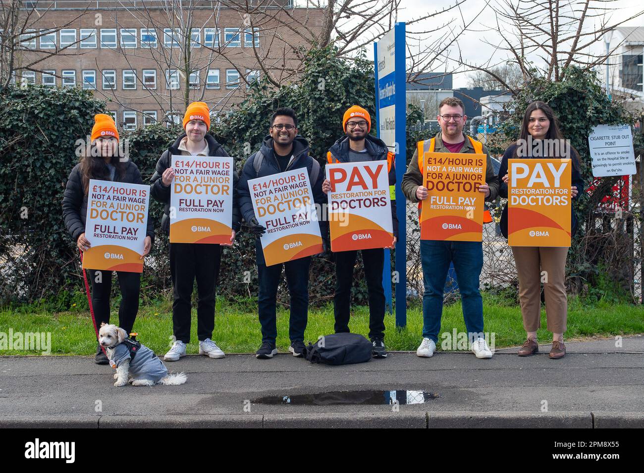 Hillingdon, Großbritannien. 12. April 2023. Hund Cookie tritt am zweiten Tag des Streiks vor dem Hillingdon Hospital in West London zu Junior Doctors. Junior Doctors in der British Medical Association in England begannen gestern einen viertägigen Streik in einem andauernden Streit um die Bezahlung. Die Streiks sind die längste Periode von Arbeitskampf, die jemals im NHS stattgefunden hat, seit sie begonnen haben und es wird erwartet, dass eine „katastrophale Auswirkung“ auf NHS Wartelisten aufgrund der Stornierung von Krankenhausterminen. In den vier aufeinanderfolgenden Tagen könnten etwa 350.000 Einsätze annulliert werden. Kredit Stockfoto