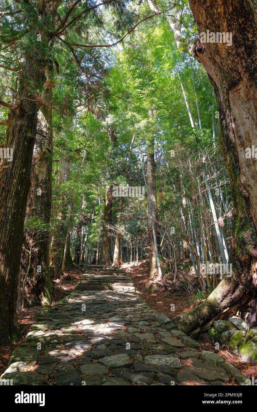 Nachikatsuura, Japan - 19. März 2023: Daimon-zaka ist ein berühmter Hang und Teil des Kumano Kodo, einer der drei großen Pilgerrouten Japans, Nachika Stockfoto