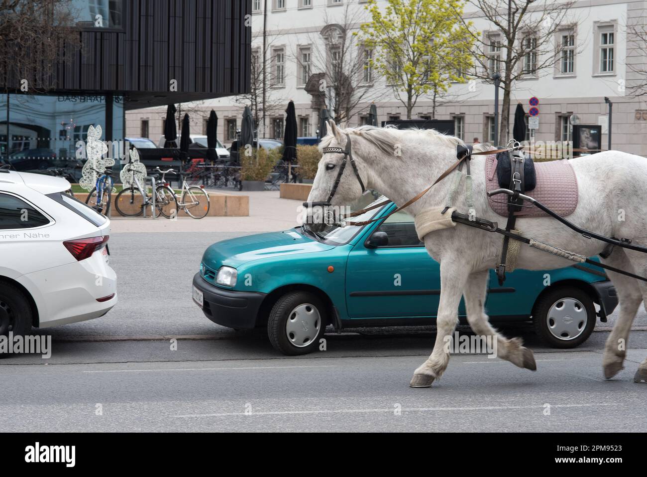 un bel cavallo traina un carrozza in città Stockfoto