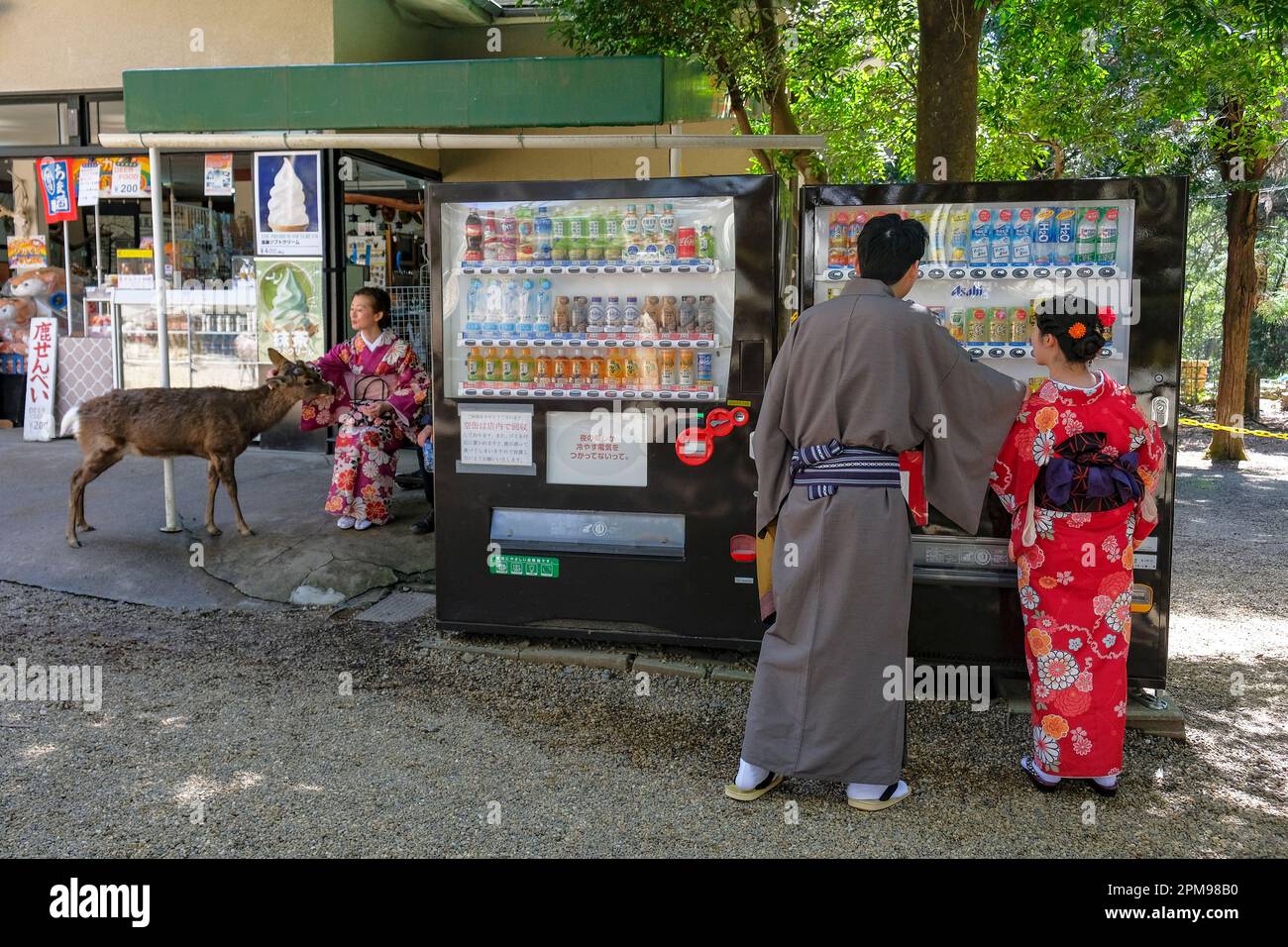 Nara, Japan - 22. März 2023: Ein Paar in Kimonos, das alkoholfreie Getränke aus einem Automaten im Nara Park, Japan, erhält. Stockfoto