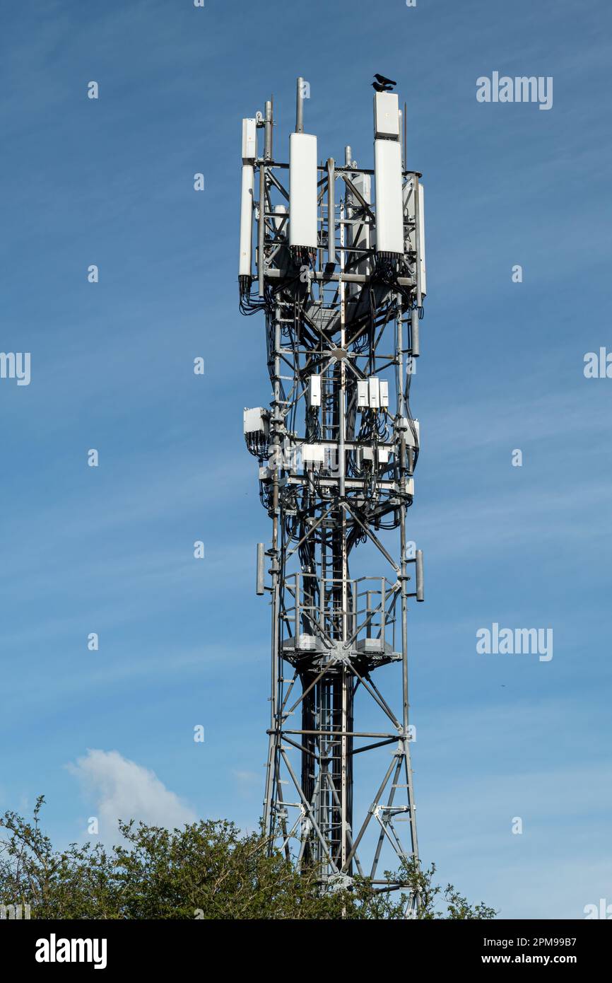 Cell Phone Tower Stockfoto