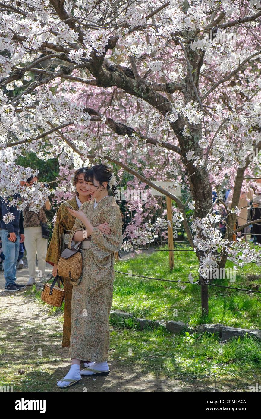 Kyoto, Japan - 28. März 2023: Zwei Frauen in Kimonos machen ein Selfie unter einem Kirschblütenbaum im Maruyama Park in Kyoto, Japan. Stockfoto