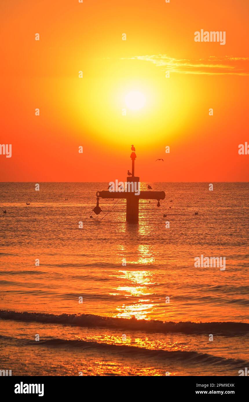 Sommermorgen Küstenlandschaft. Sonne und Vögel über der Ostsee. Foto am Strand in Gdynia, Polen. Stockfoto