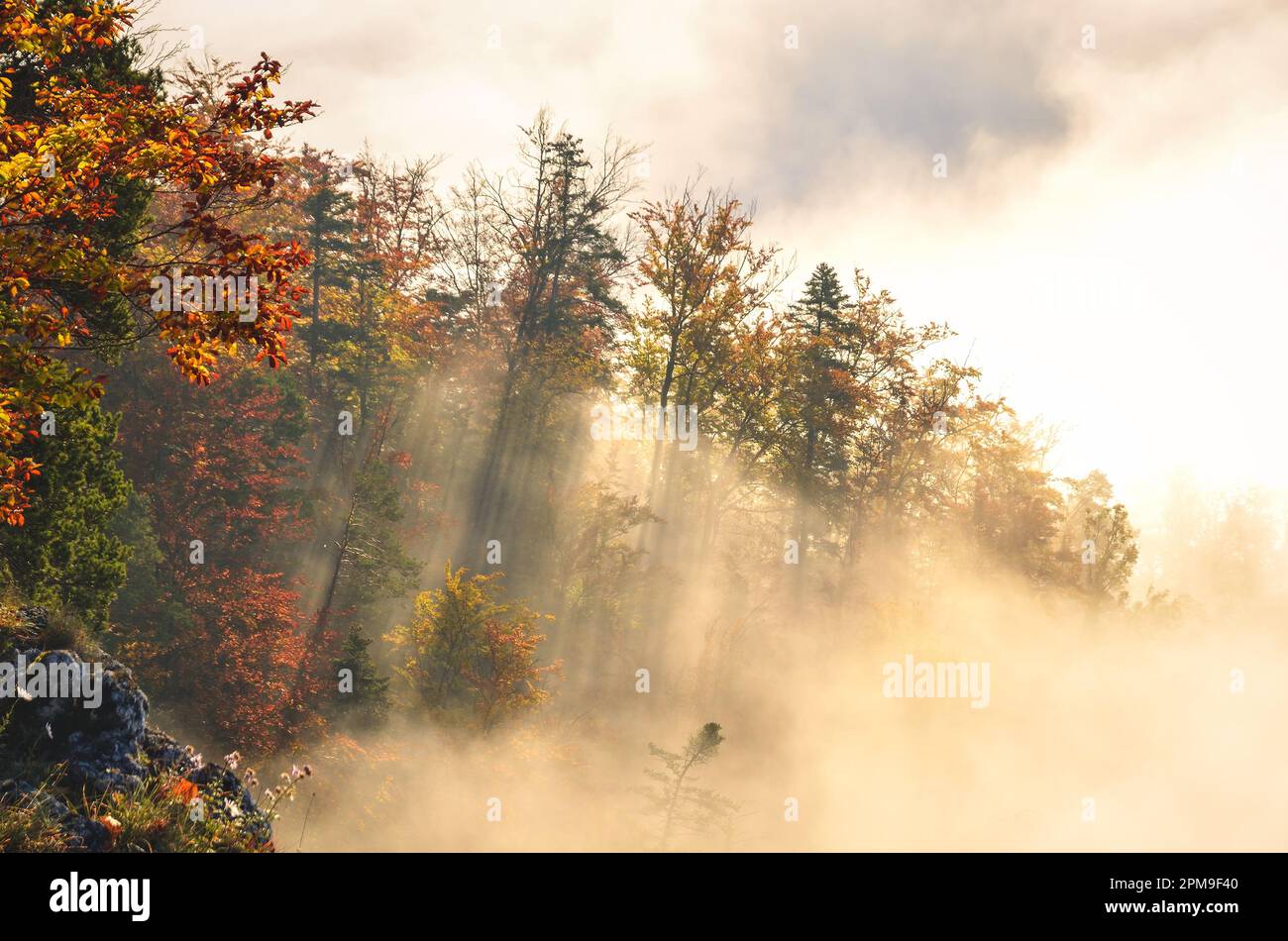 Fabelhafte farbenfrohe Herbstlandschaft. Magischer Morgen in den polnischen Bergen. Foto auf dem Gipfel der Sokolica in Pieniny, Polen. Stockfoto