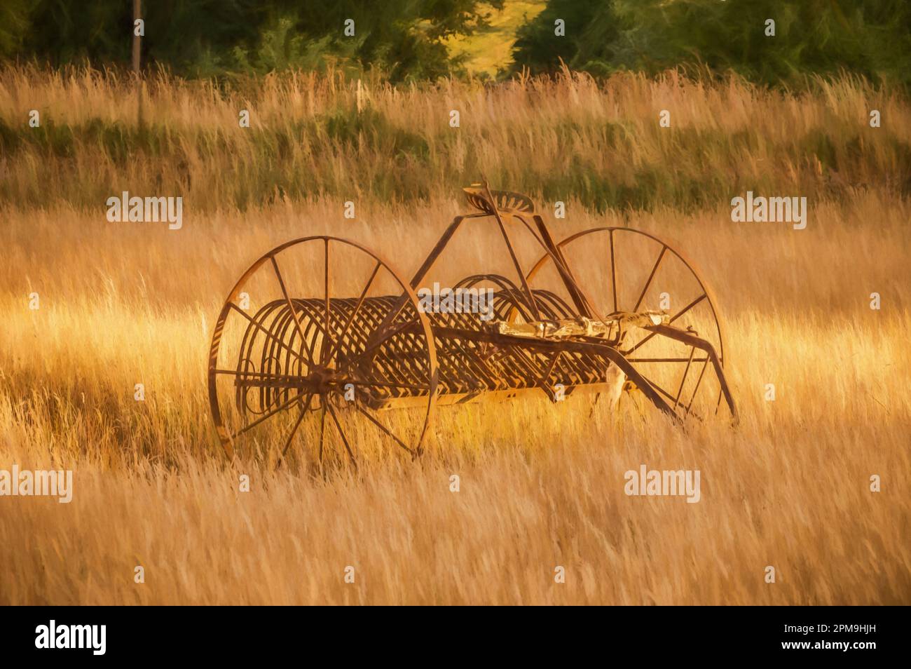 Digitale Malerei eines antiken Heurechen auf einem Bauernfeld bei Sonnenuntergang in den Staffordshire Moorlands. Stockfoto