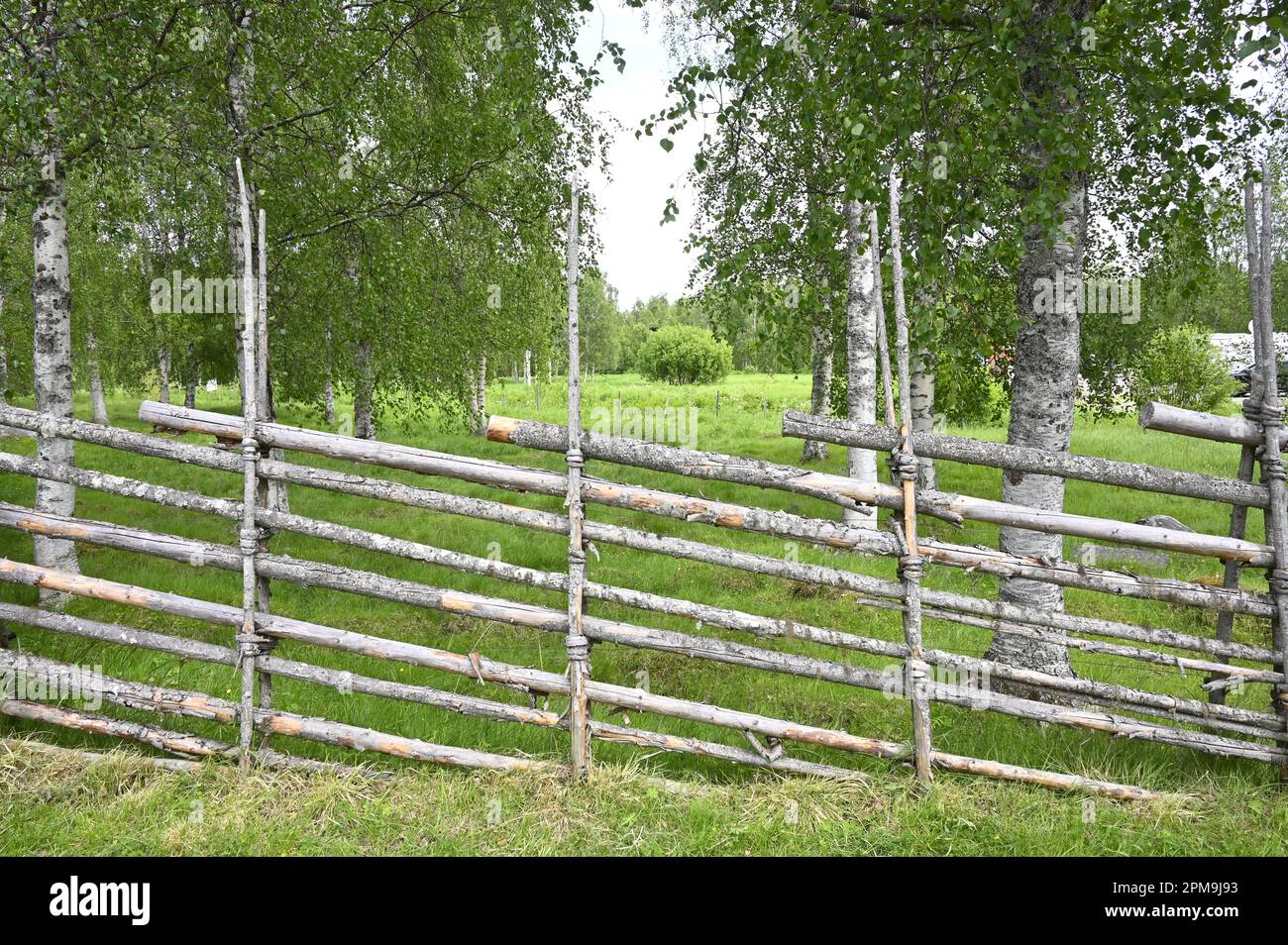 Schwedische Farmzäune Stockfoto