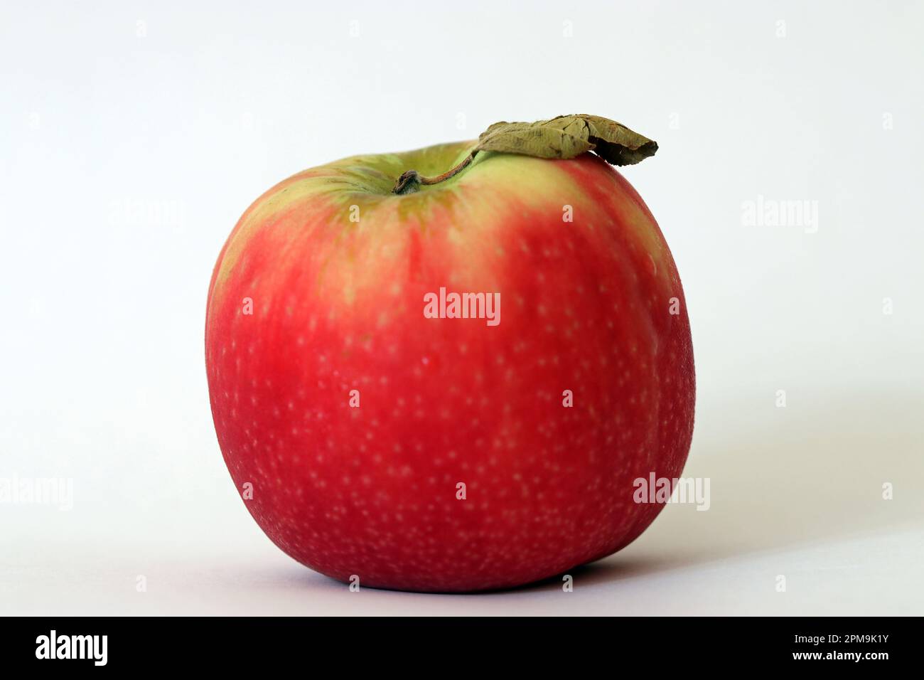Ein klassischer rosiger Lady Apple (Malus domestica) mit einem Blatt am Stiel. High-Key Makro Soft Focus Studio Bild weißer Hintergrund. Stockfoto