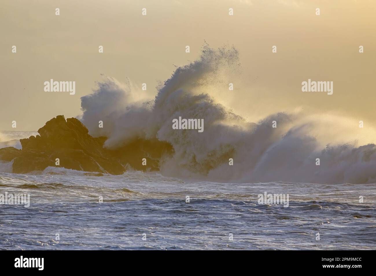 Sanfte, stürmische Wellen im Hintergrund bei Sonnenuntergang. Nördliche portugiesische felsige Küste. Stockfoto