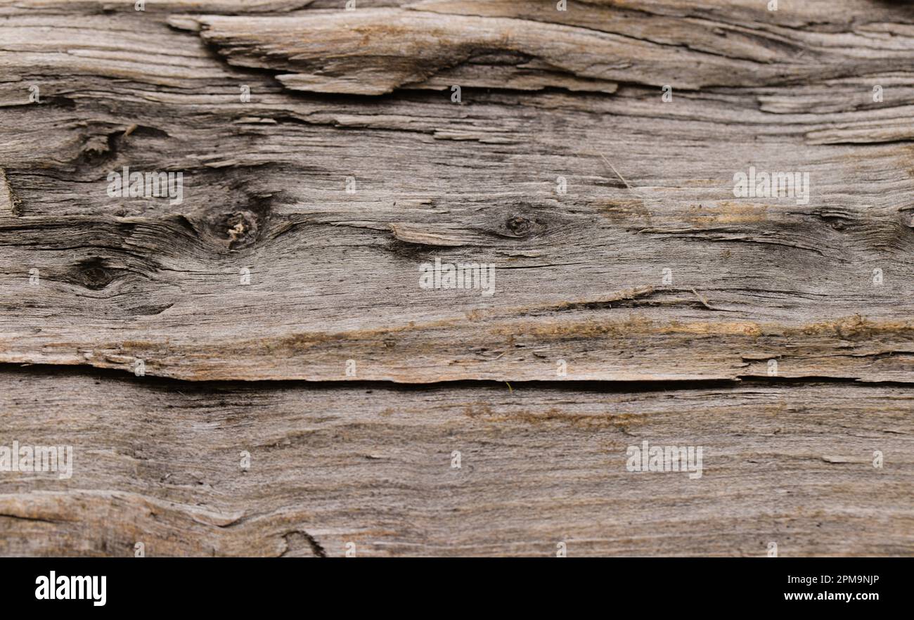 Fotos von einem Stück rohem und gehacktem Holz. Stockfoto