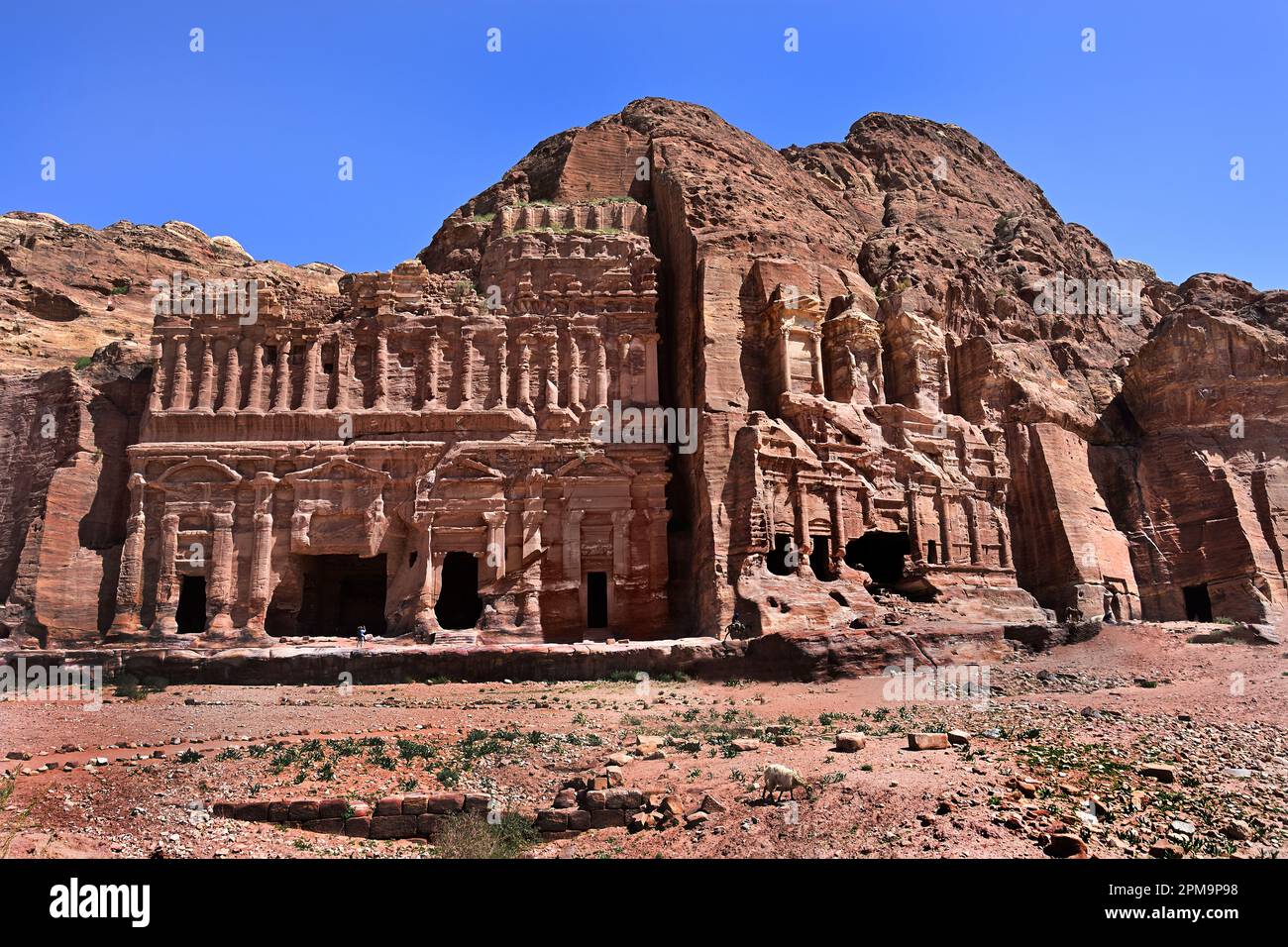 Palastgräber - Korinthisches Grab Petra Stadt Nabatäische Karawane Stadt Felsfassaden Jordan geschnitzte Sandsteinwüste. Blick auf die königlichen Gräber Stockfoto