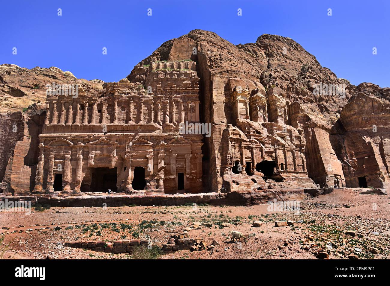 Palastgräber - Korinthisches Grab Petra Stadt Nabatäische Karawane Stadt Felsfassaden Jordan geschnitzte Sandsteinwüste. Blick auf die königlichen Gräber Stockfoto