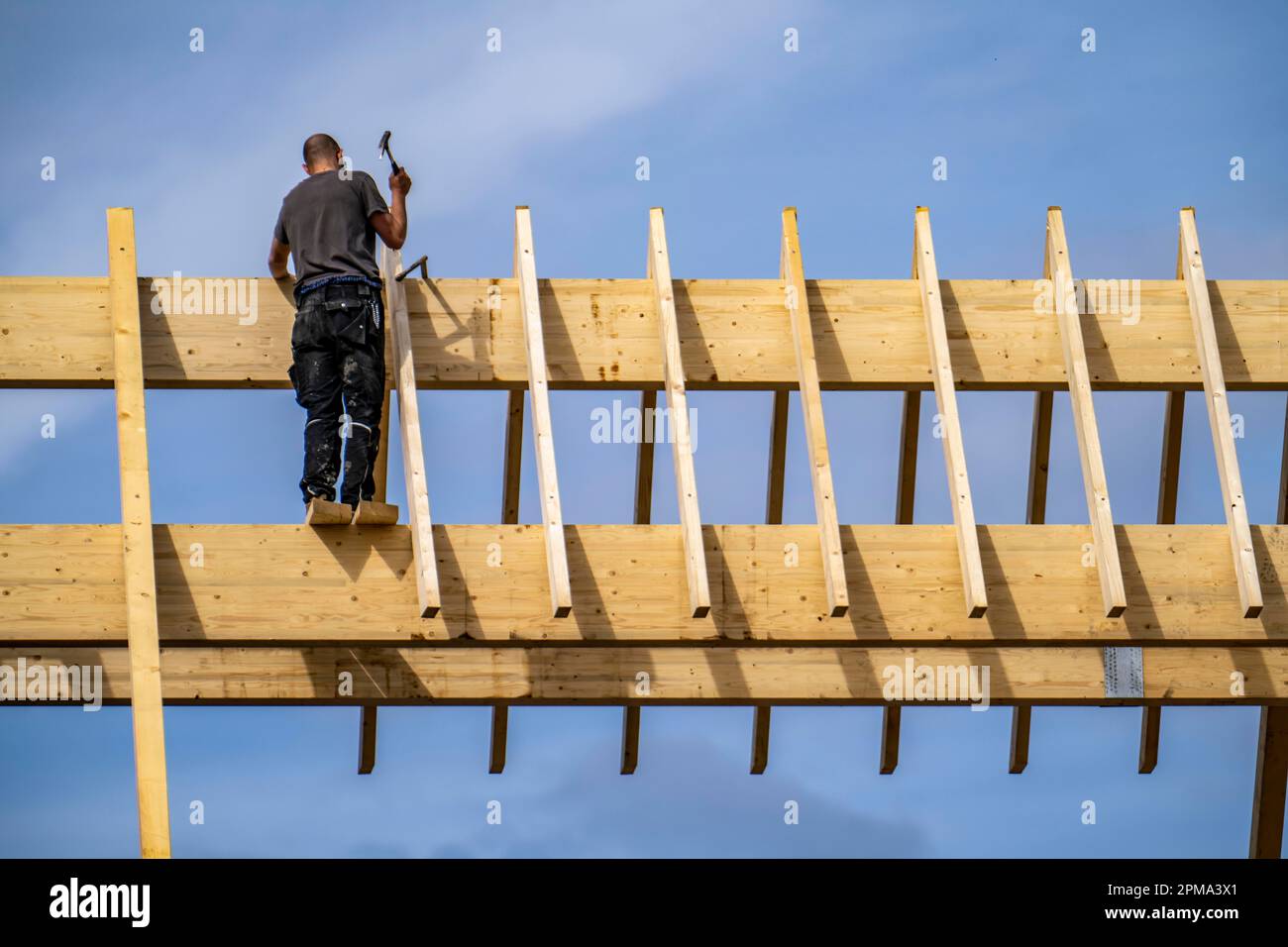 Zimmermann, auf einem Dachträger, Neubau eines spitzen Holzdachs, Renovierung, Stockfoto