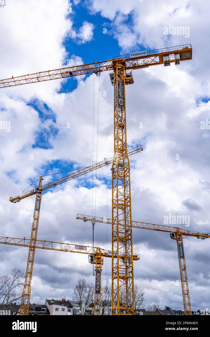 Baukräne, auf einer großen Baustelle in Düsseldorf, Bau einer Eigentumswohnung im NÄCHSTEN PANDION-Projekt, NRW, Deutschland, Stockfoto