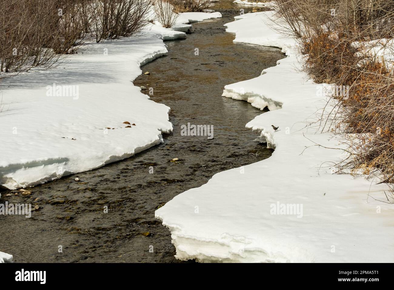 Squaw Creek Wintereis Stockfoto