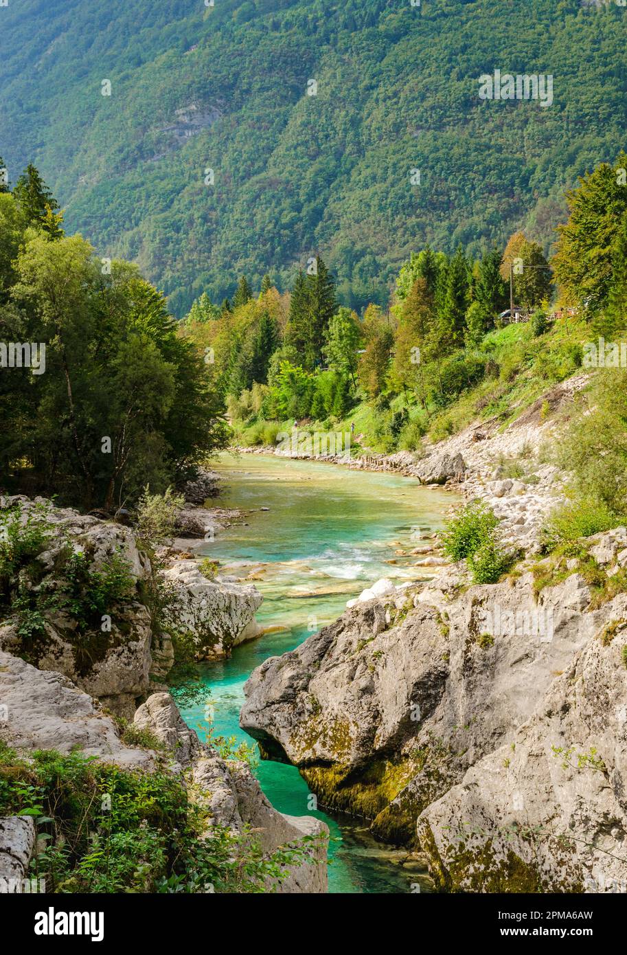 Wunderschönes türkisfarbenes Soca Flusstal in einem Wald mit Bergen in Slowenien. Perfekter Sommertag. Wasser ist ideal für Kajaktouren oder Klippenspringen. Stockfoto