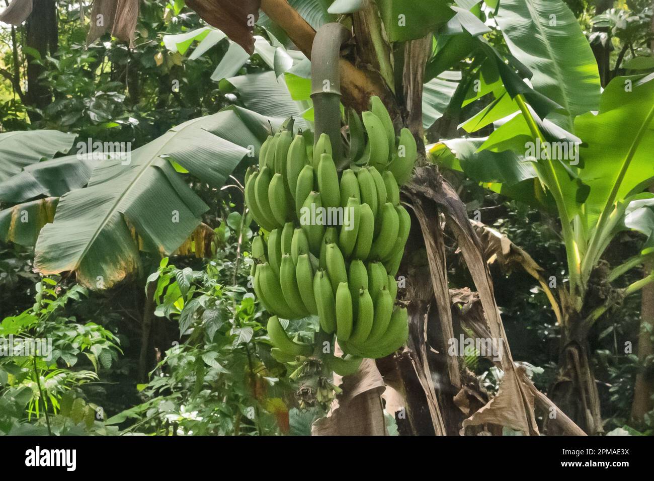 Ackerbau ackerbau anbauen anbauen anbau anbauen anbauen anbauen anbauen ...